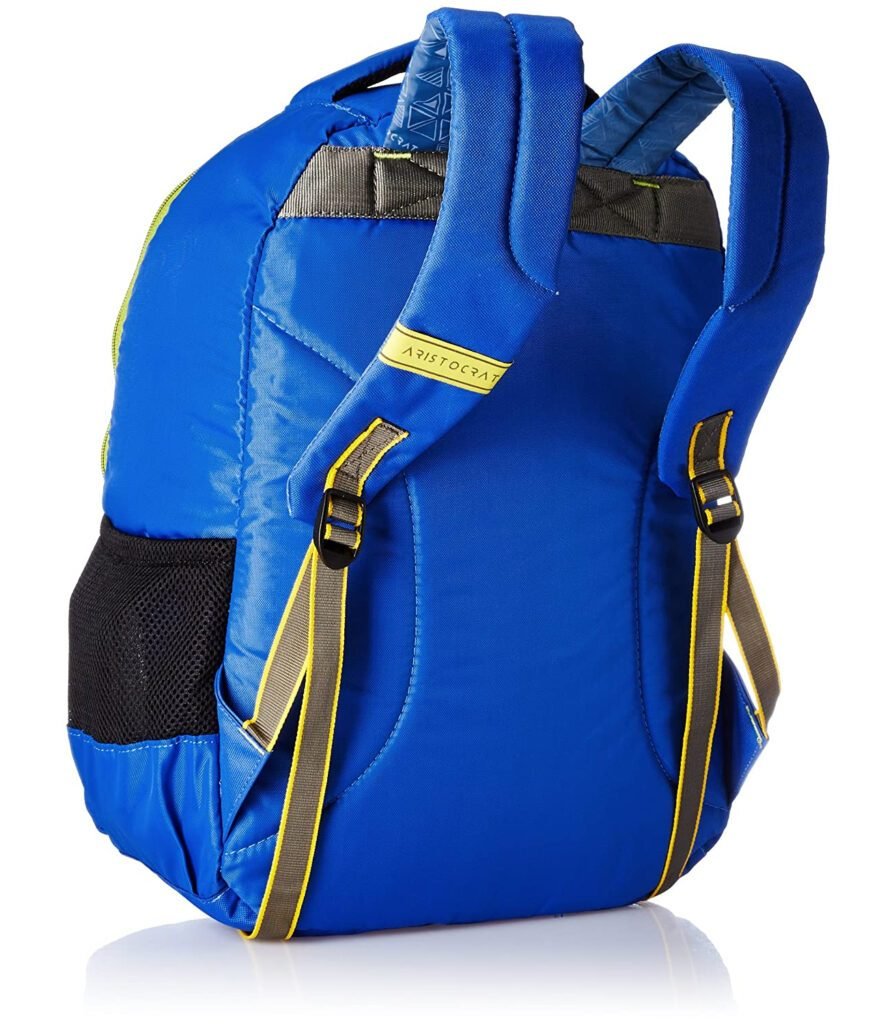 aristocrat 45 ltrs grey rucksack ruchikegry