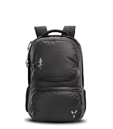 skybags laptop bag 51IyeCij5UL._SL1000_