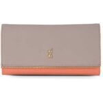 baggit ladies wallet-Baggit Casual Multicolor Clutch