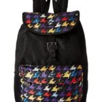 fastrack casual backpack