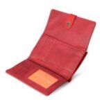 Baggit Cambridge LW Y G Z Forest Red 3