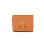 baggit trendy ladies wallet