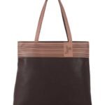 women's baggit Handbag