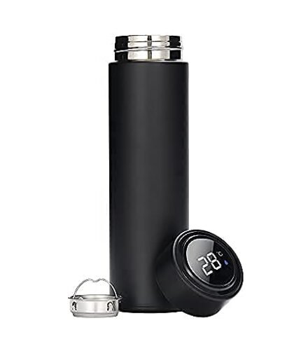 Stainless Steel Temperature Water Bottle