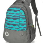 SKYBAGS BRO 127 BACKPACK AST 2 SKYBAGS BRO 127 BACKPACK AST